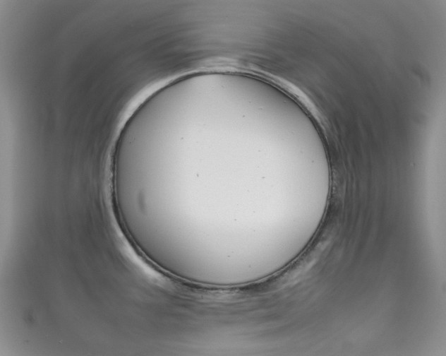 X0000111861387200907231122