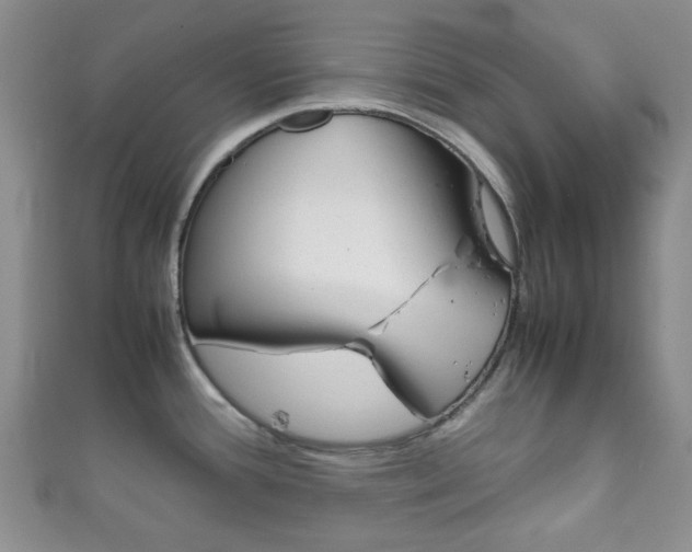 X0000111861388200907231122