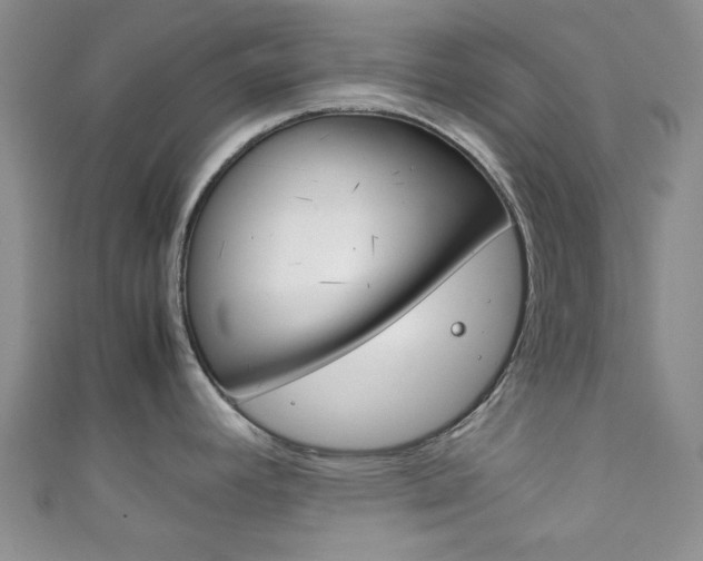 X0000111861392200907231122
