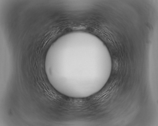 X0000111861393200907231121
