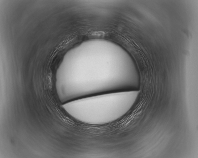 X0000111861394200907231121