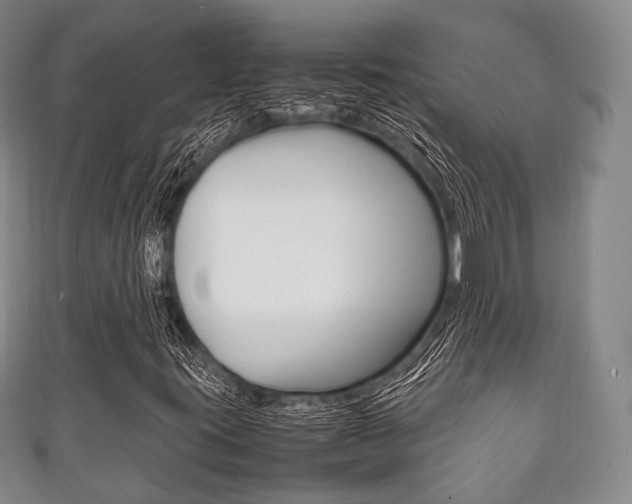 X0000111861395200907231121