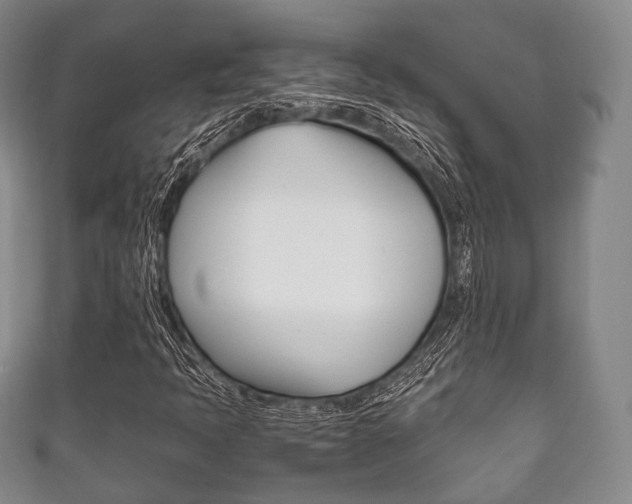 X0000111861397200907231121