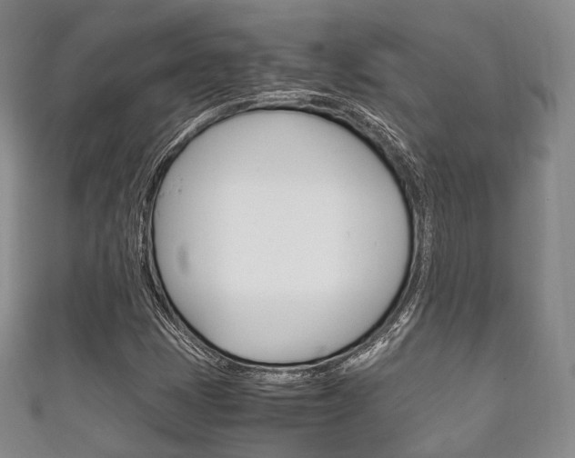 X0000111861401200907231121
