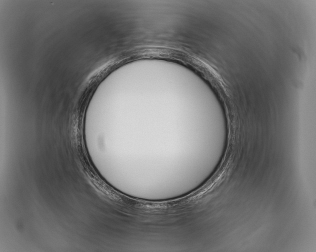 X0000111861403200907231121