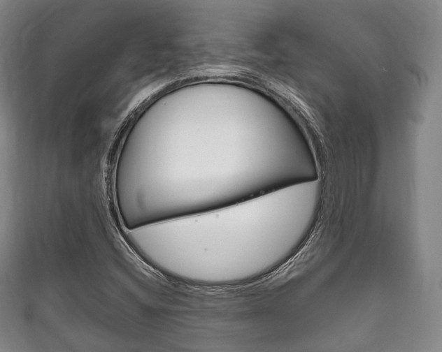 X0000111861404200907231121