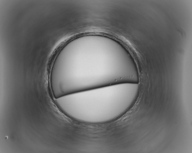 X0000111861408200907231121