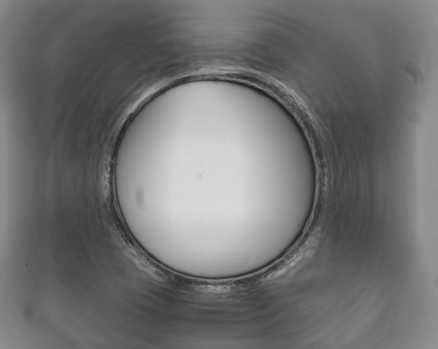 X0000111861409200907231121