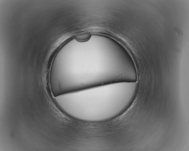 X0000111861410200907231121