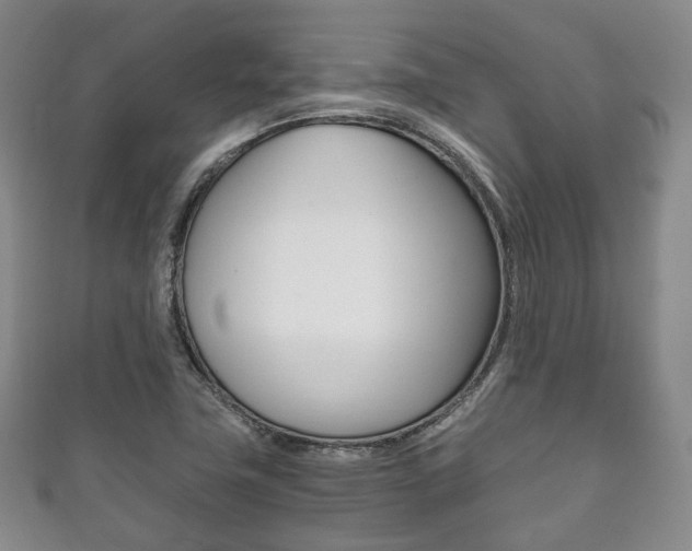 X0000111861411200907231121