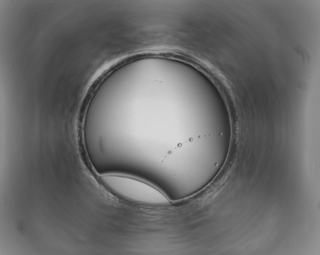 X0000111861412200907231121