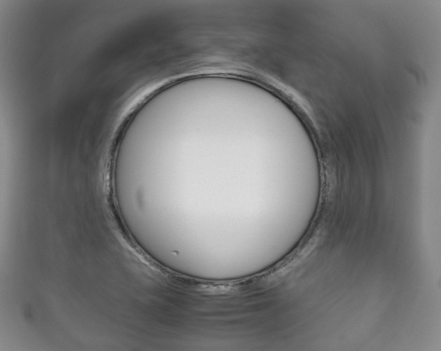 X0000111861415200907231121