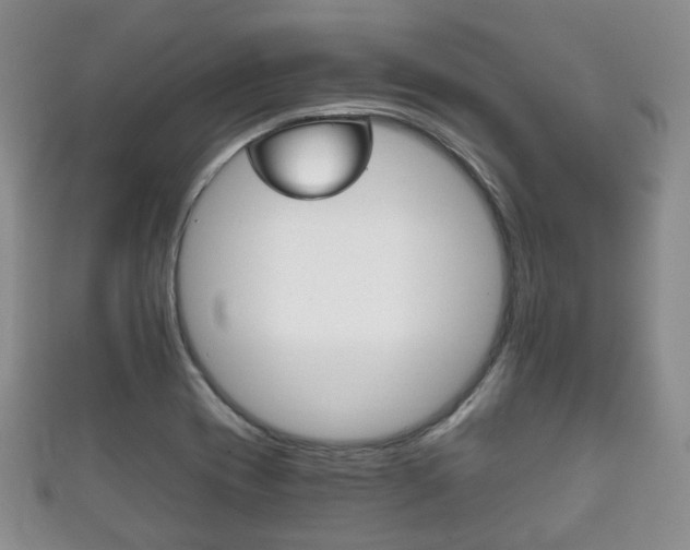 X0000111861417200907231121