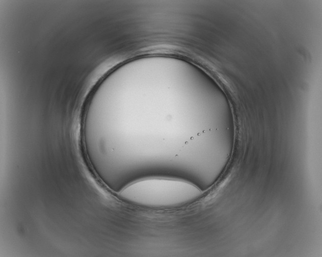 X0000111861418200907231121