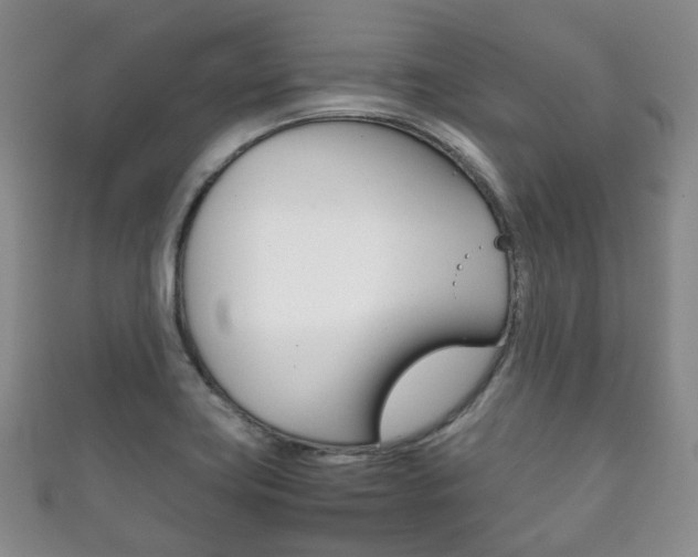 X0000111861419200907231121