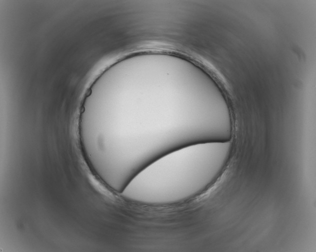 X0000111861421200907231121