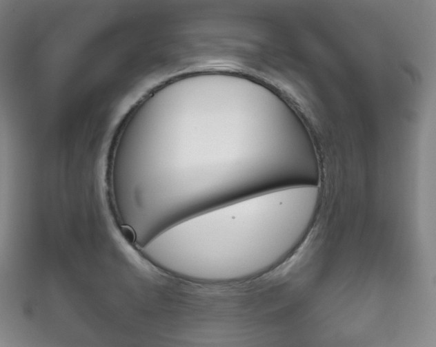 X0000111861422200907231121