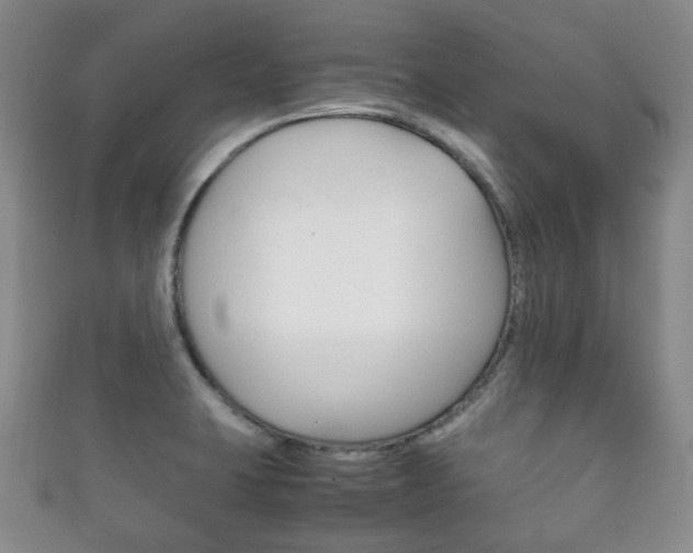 X0000111861423200907231121