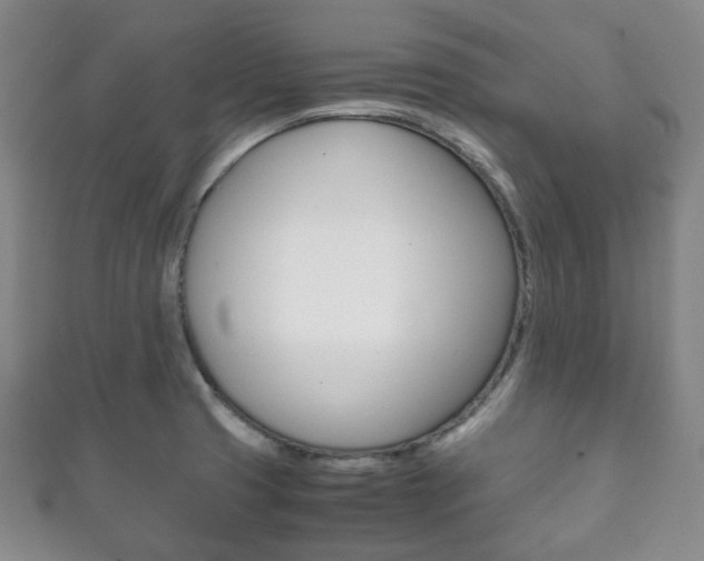 X0000111861425200907231121