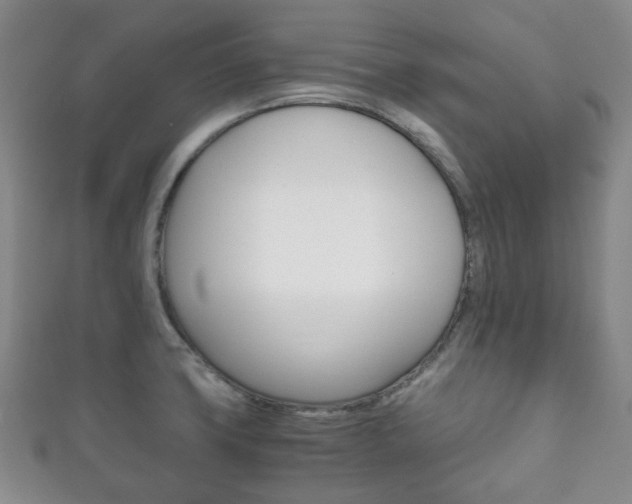 X0000111861427200907231121