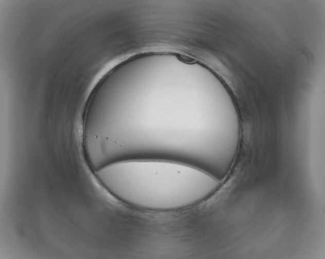X0000111861428200907231121