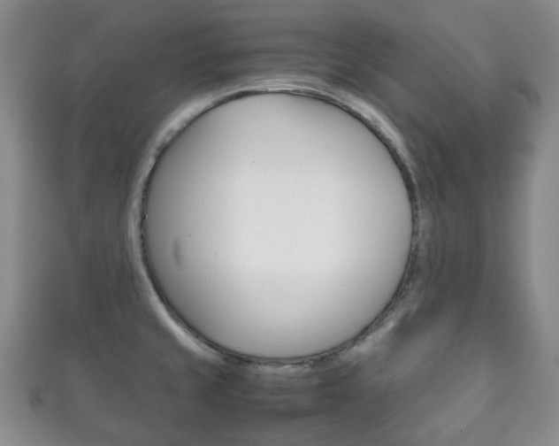 X0000111861429200907231121