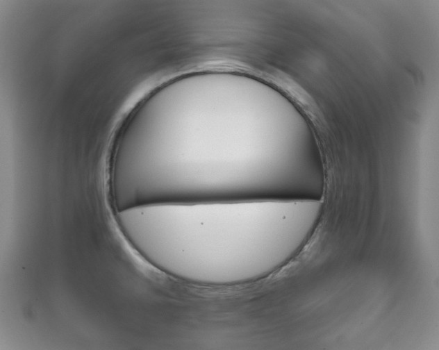 X0000111861430200907231121