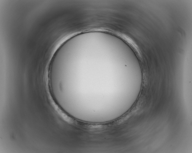 X0000111861431200907231121