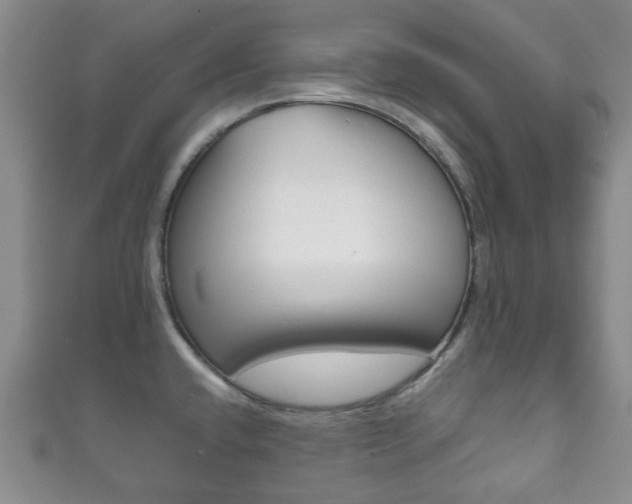 X0000111861432200907231121