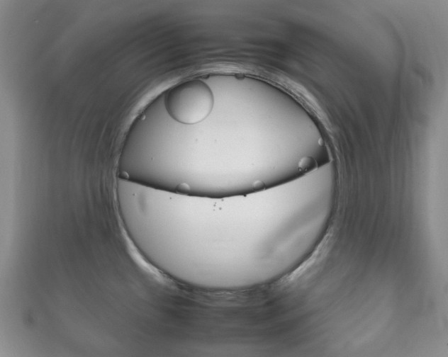 X0000111861433200907231121