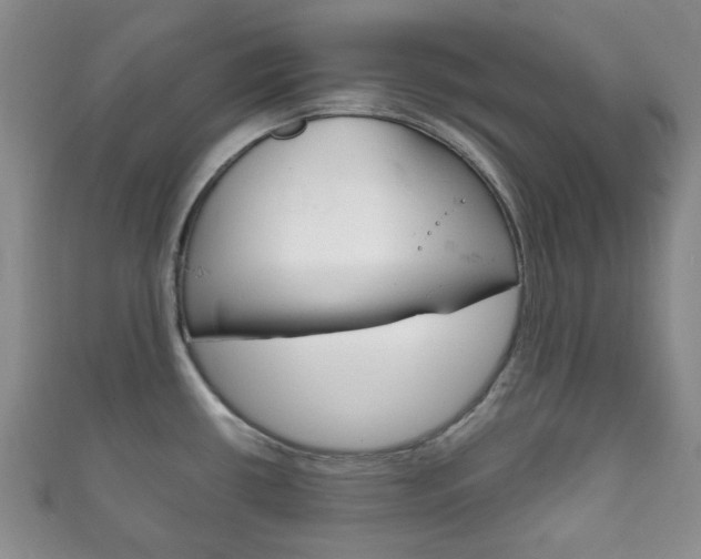 X0000111861434200907231121