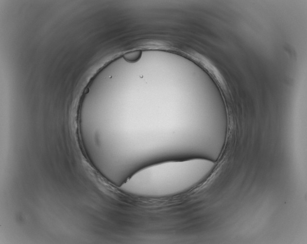 X0000111861435200907231121