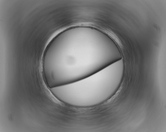 X0000111861436200907231121