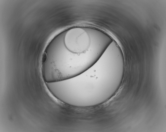 X0000111861437200907231121