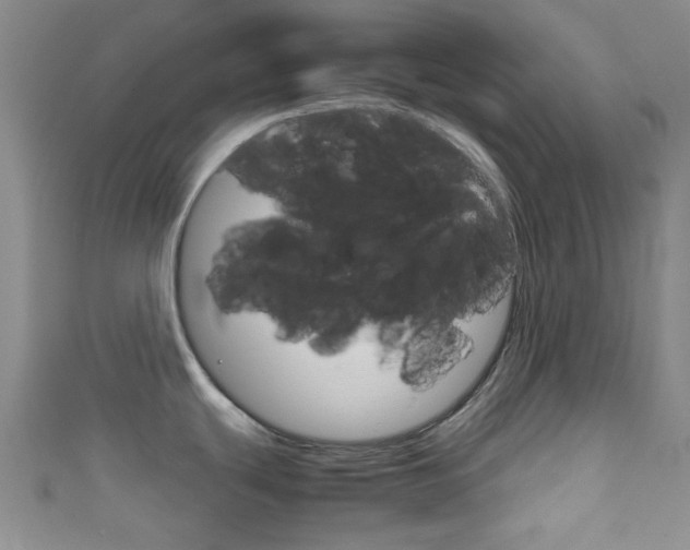 X0000111861439200907231122
