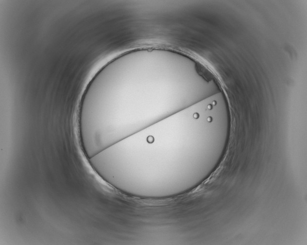 X0000111861440200907231122