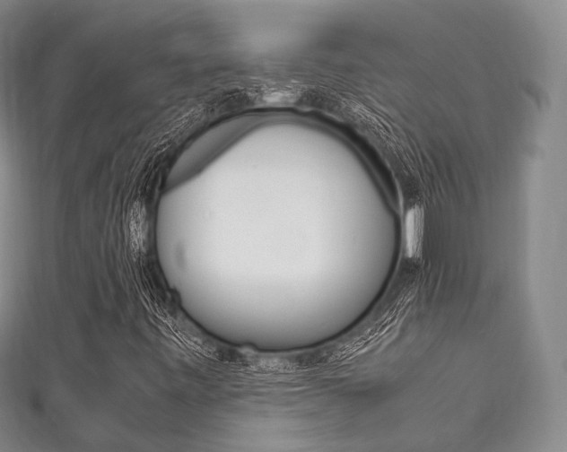 X0000111861443200907231121