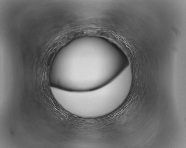 X0000111861445200907231121