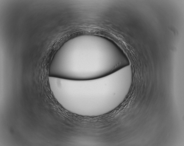 X0000111861447200907231121