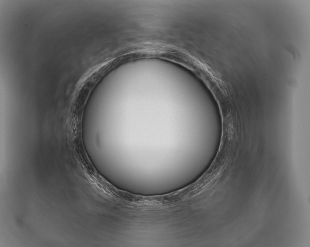 X0000111861448200907231121