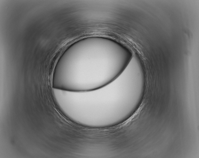 X0000111861449200907231121