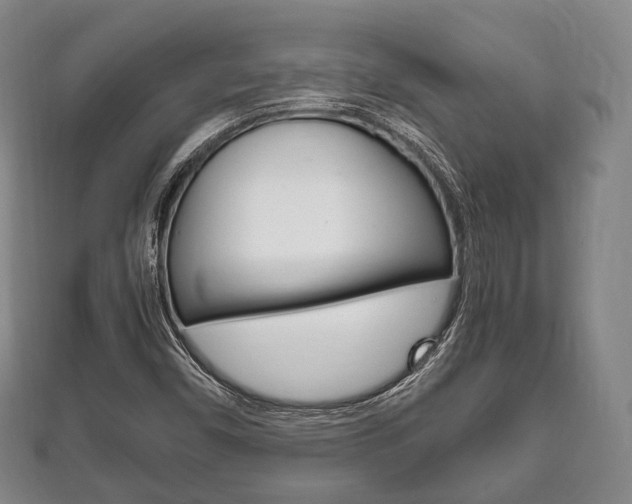 X0000111861450200907231121