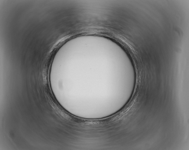 X0000111861451200907231121