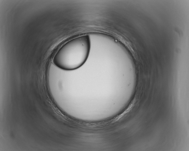 X0000111861453200907231121