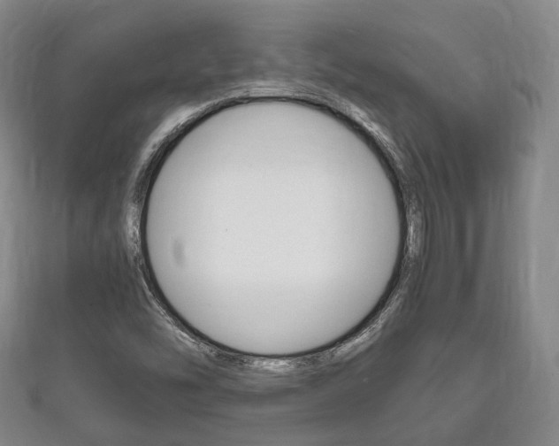 X0000111861454200907231121
