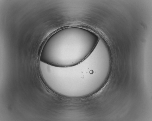 X0000111861457200907231121