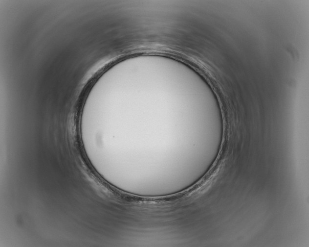 X0000111861458200907231121