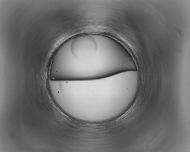 X0000111861459200907231121