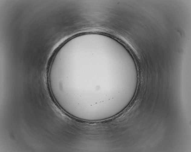 X0000111861460200907231120