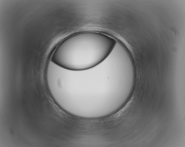 X0000111861461200907231120